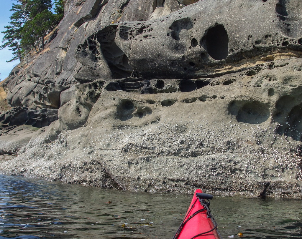 The Fascinating Interface Between Land and Sea SGI Community Resources