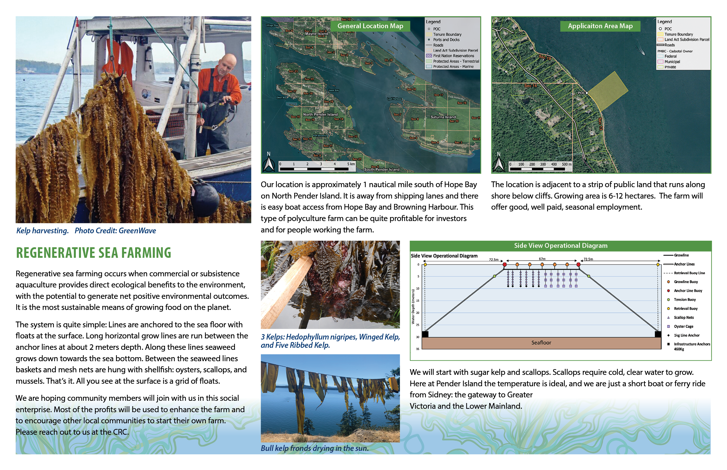 Regenerative Sea farming descriptions and pictures